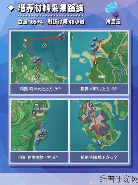 原神万叶突破材料全解析与高效收集攻略