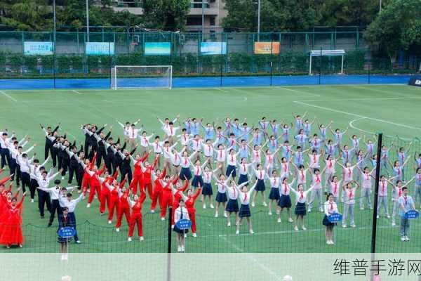超级凌乱的校园运动会：“校园运动会：挑战自我、团结拼搏的狂欢盛典”