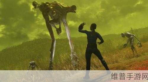 辐射能联机玩吗：拓展辐射能：携手探索废土世界的联机冒险