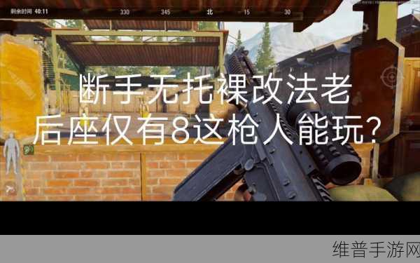暗区突围基础玩法全攻略，硬核求生，策略致胜