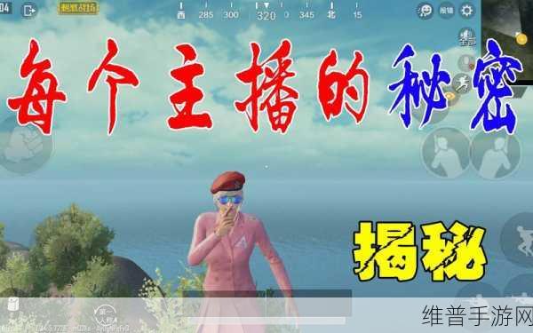 国外b站刺激战场在线直播：探索海外B站刺激战场在线直播新风潮与魅力