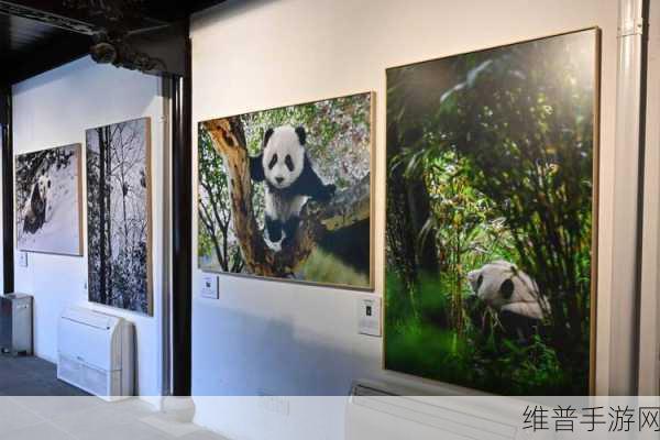 91精产国品一二三产区灬：深入探索91精产国品一二三产区发展的新机遇与挑战