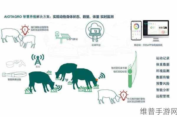 tai99：数字时代的智慧与科技：探索tai99的无限潜能