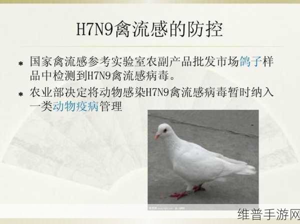 免费人与禽app：探索人与禽类互动的免费应用程序，尽享乐趣与知识！