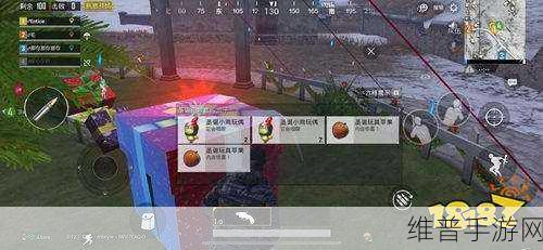 和平精英圣诞模式攻略，圣诞乐园位置汇总一览