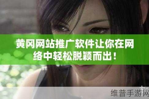 推广软件的国外黄冈网站：拓展国际市场：黄冈软件推广新平台全攻略