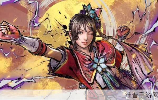 战国无双5：战国无双5：英雄齐聚，天下大乱的传奇征程
