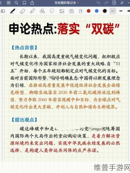 九幺高风险：探索九幺高风险领域的挑战与机遇分析