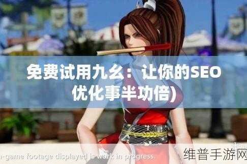九幺1.0.31版本风险：拓展九幺1.0.31版本风险评估与应对策略分析