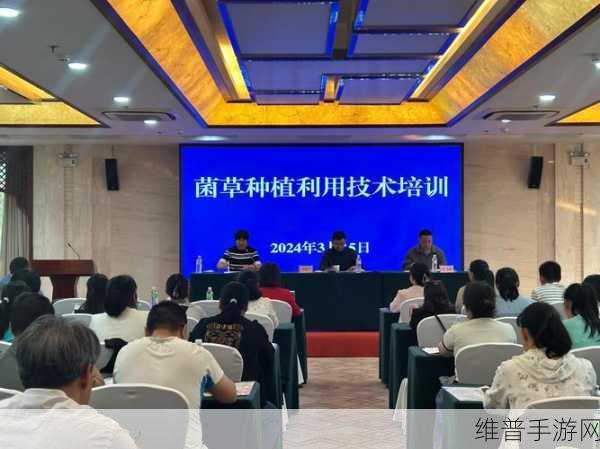 黄污软件大全免费：全面解析与推荐：黄污软件大全及免费获取攻略