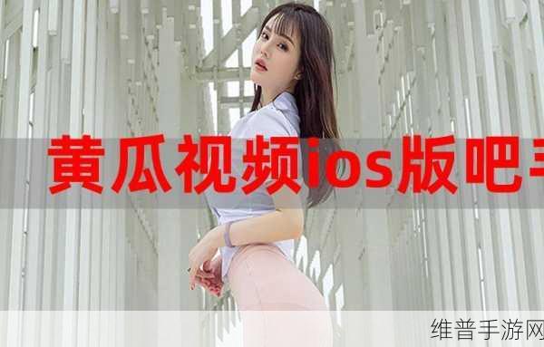 黄瓜91ios轻量版：轻量版黄瓜91iOS：畅享极致体验与简约设计