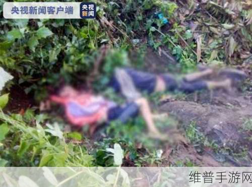 缅甸北部恐怖血腥网站www软：探秘缅甸北部：恐怖血腥事件背后的真相与影响
