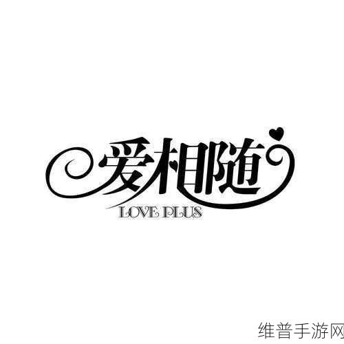 爱相随新作：携手并进，共创未来：爱相随的新篇章