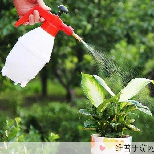 怎么引导老公亲花园：如何巧妙引导老公共同参与花园养护活动