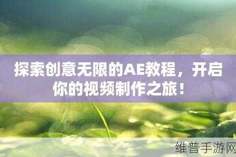 九一视频合节4：九一视频合节四：探索创意与技术的完美融合之旅