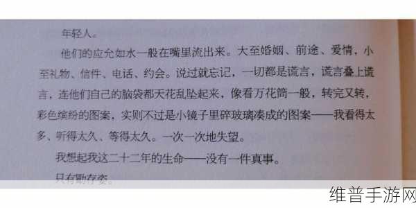 林喜宝公交车(公交车中的林喜宝)：探索公交车上的林喜宝：城市生活的独特缩影