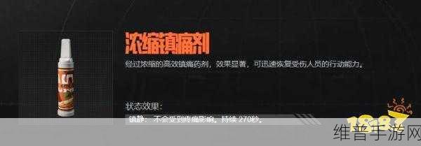 暗区突围肉弹使用攻略，实战指南与深度用法解析