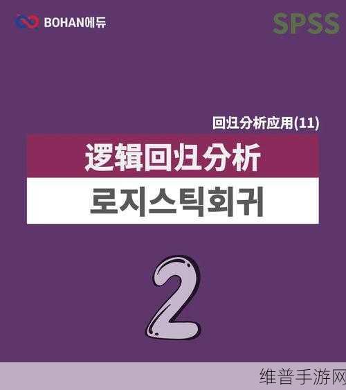 乱世逐鹿张星彩深度解析，定位分析与实战应用