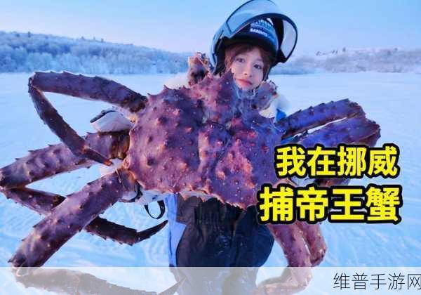 汉字找茬王帝王蟹找不同通关秘籍大揭秘