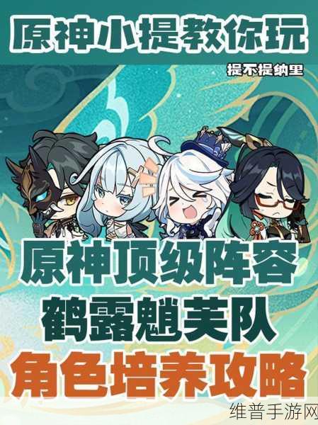 原神魈的极致配合，风系角色阵容搭配深度解析