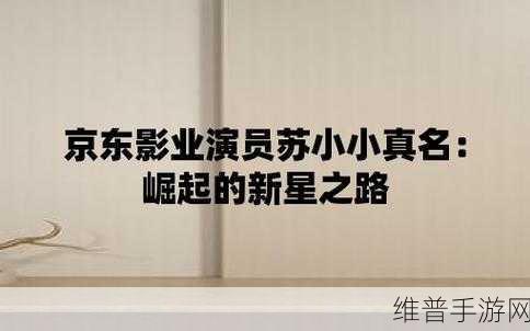 苏小小京东影业传媒 创始人：苏小小京东影业传媒：开创影视新纪元的先锋之路