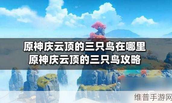 原神庆云顶三只鸟的神秘所在与详尽攻略