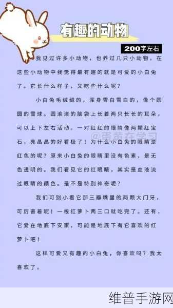 衬衫里的小白兔蹦来蹦去：在拓展衬衫中，小白兔欢快蹦跳的奇妙冒险