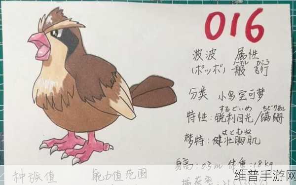 宝可梦大探险，波波进化全攻略及详细等级介绍