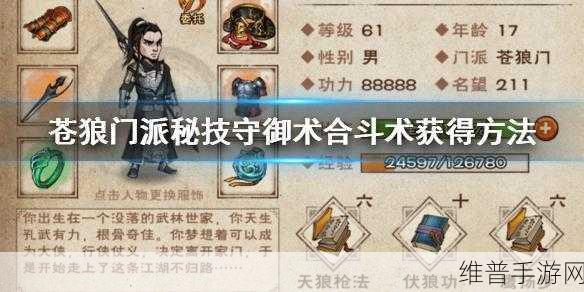 烟雨江湖合斗术获取方法解析，全攻略与实战技巧详解