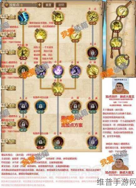 航海王燃烧意志海岛争霸流派全解析