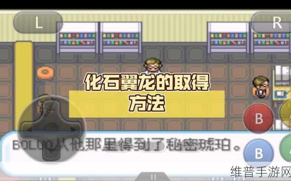 宝可梦大探险化石翼龙的完美培养指南