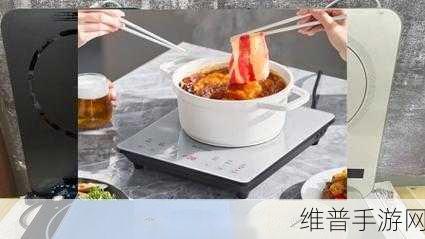 51热门大瓜黑料反差婊电磁炉：揭秘51热门大瓜黑料：反差婊与电磁炉的奇妙碰撞！