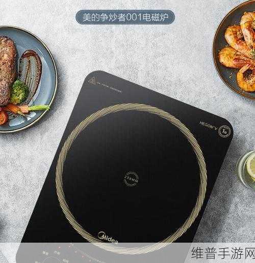 51热门大瓜黑料反差婊电磁炉：揭秘51热门大瓜黑料：反差婊与电磁炉的奇妙碰撞！