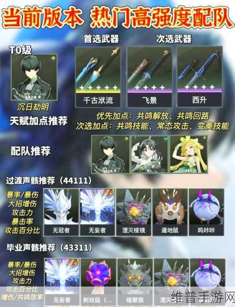 鸣潮折枝队伍搭配与资源规划攻略，实现财富积累的高效策略