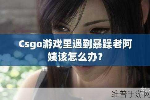 暴躁老阿姨csgo攻略大全：暴躁老阿姨CSGO全方位攻略与技巧深度解析