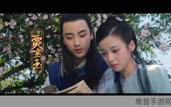 梦女是现实中情感缺失吗：探讨梦女现象：现实中情感缺失的表现与影响