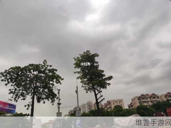 售票员用小xue查票20路：“拓展售票员通过小Xue实现20路查票新方式”