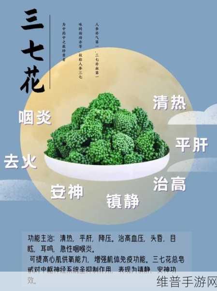 三七大但人文艺术免费1：探索三七大但的文化艺术魅力与免费资源分享