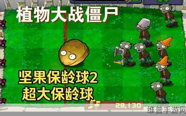 植物大战僵尸简体中文版小游戏攻略，解锁迷你模式与精通坚果保龄2、植物僵尸2