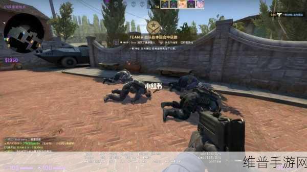 暴躁少女如何成为csgo高手：从暴躁少女到CSGO高手：逆袭之路的成长与蜕变