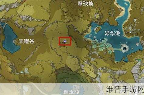 原神探索指南，揭秘无相之草地图位置与攻略