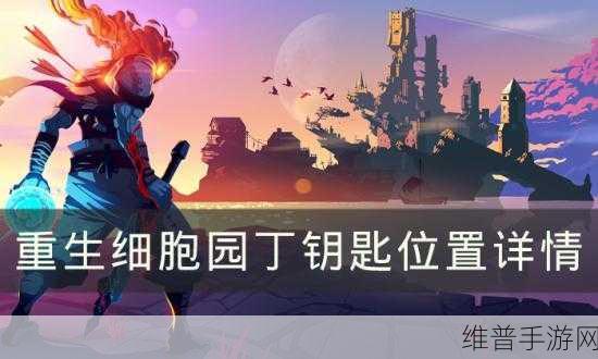 重生细胞，全面探寻园丁钥匙的隐藏位置与获取攻略