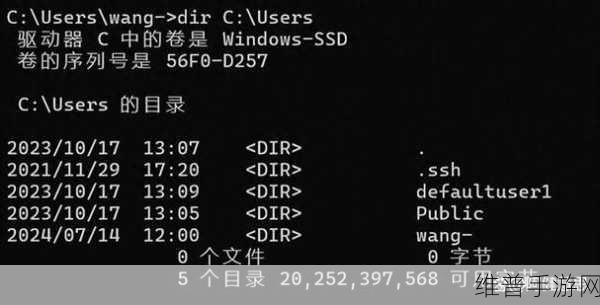 WINDOWS18求求19：探索Windows 18到19的全新特性与突破性功能
