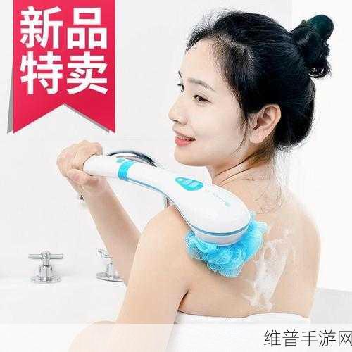 家庭抓灰：家庭清洁新风尚：抓灰技巧与实用指南分享