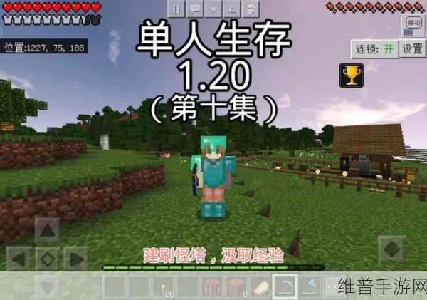 暴躁老妹玩minecraft：暴躁老妹的Minecraft探险：创造与挑战并存的世界
