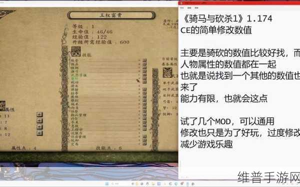 骑马与砍杀修改士兵属性:骑马与砍杀:自定义士兵属性全攻略