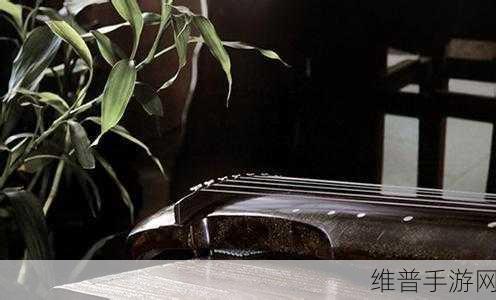 Chinese嫖中国老妇系列：探索中国传统文化中的老妇人魅力与智慧之旅