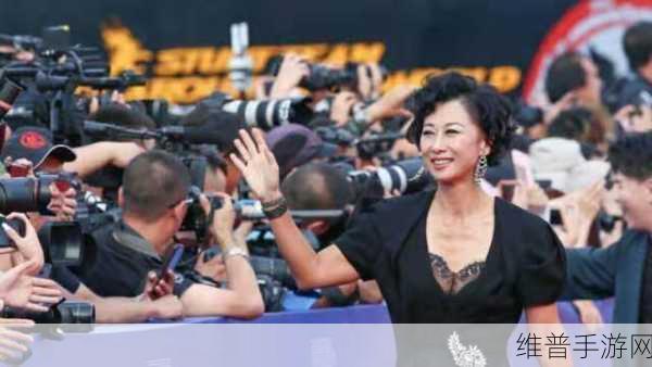 Chinese嫖中国老妇系列：探索中国传统文化中的老妇人魅力与智慧之旅