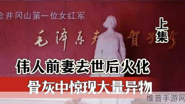 两个人在床上生猴子不盖被子怎么办：如何处理两人在床上生猴子却不盖被子的尴尬局面