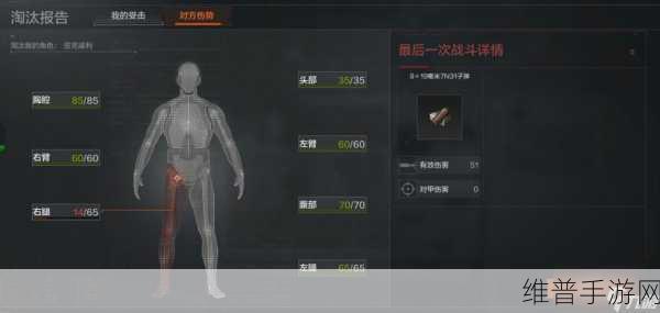 暗区突围深度攻略，探索游戏内物品交互规则与队友装备管理